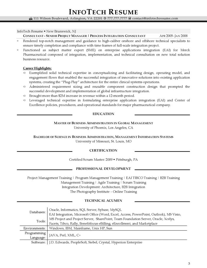 it program manager resume samples